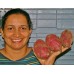 NEW SEASONS SPRAY FREE KUMARA 1KG MEDIUM Size KATIKATI Grown